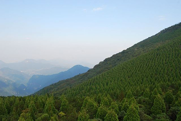 百山祖景区第 34 张图片