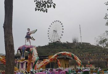 花海欢乐世界第 35 张图片