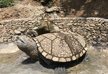 白石湾风景区第 32 张图片