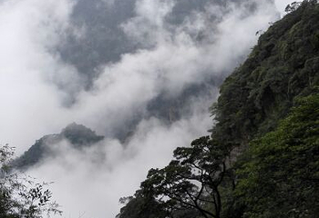 金秀圣堂山景区第 33 张图片