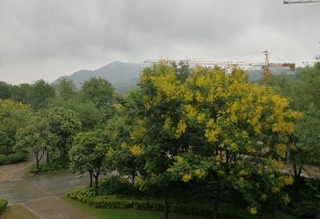 临潼悦椿温泉第 65 张图片