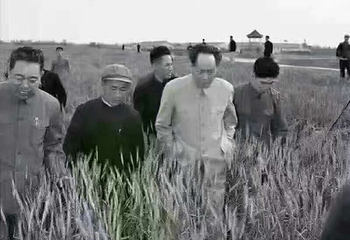 南街村第 33 张图片