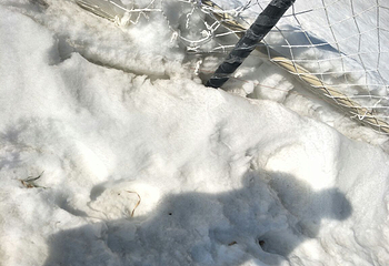 淮安古运河滑雪场第 3 张图片