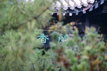 王羲之故居第 65 张图片