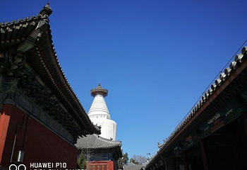 白塔寺第 23 张图片