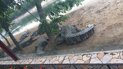 鳄人谷生态旅游区第 5 张图片