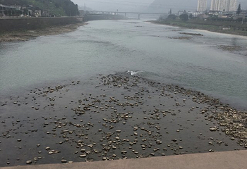 青衣江第 8 张图片