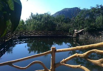 藤龙山风景区第 25 张图片