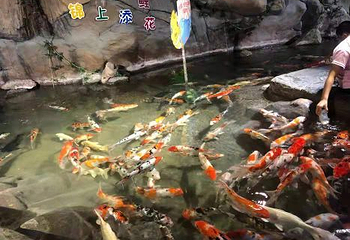 崂山太清宫第 20 张图片