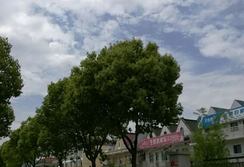 前卫村第 37 张图片