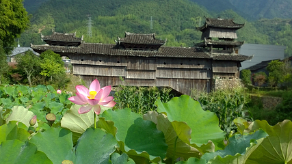 举水月山村第 10 张图片