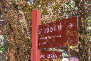 美庐别墅第 35 张图片
