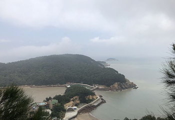 大鹿岛第 43 张图片