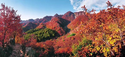 凤凰岭景区第 19 张图片