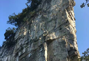 油杉河景区第 15 张图片