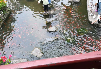 青龙峡风景区第 75 张图片