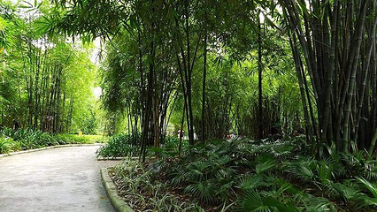 晓港公园第 9 张图片