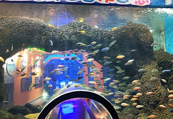 石家庄海洋公园(海悦天地购物广场店)第 26 张图片