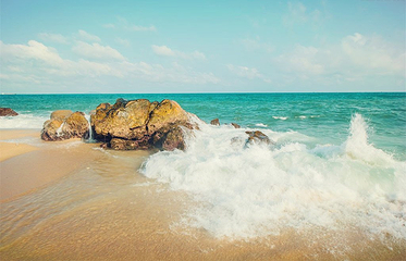 海棠湾第 139 张图片