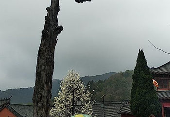 庐山石门涧风景区第 17 张图片