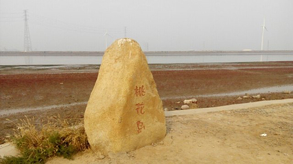 山东黄河岛第 11 张图片