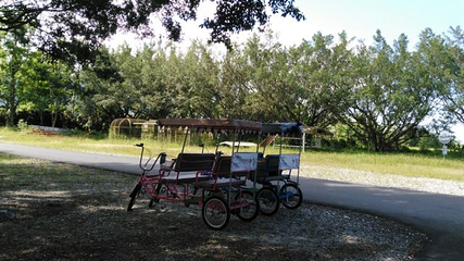新光兆丰休闲农场第 45 张图片