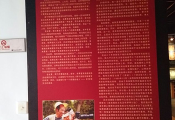苗疆故事民族服饰博物馆第 9 张图片