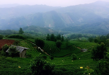 仙人山景区第 44 张图片