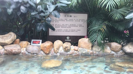 宗裕金汤水世界第 20 张图片