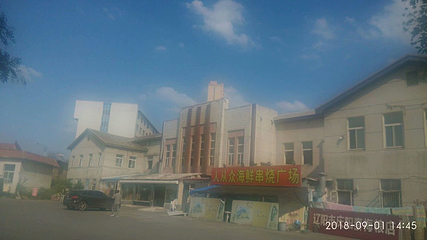 东京陵第 7 张图片