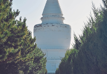 凉州白塔寺第 41 张图片