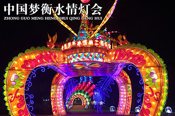 衡水情灯会第 6 张图片
