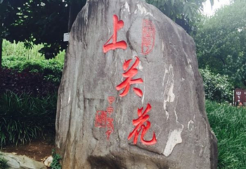 上关花公园第 18 张图片