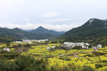江岭景区第 30 张图片