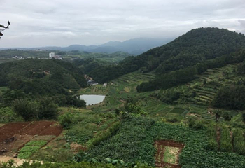 乌石村第 4 张图片