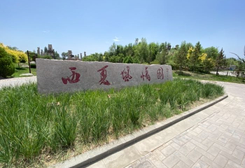西夏风情园第 47 张图片