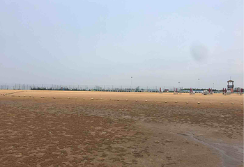 茅尾海第 3 张图片