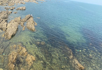 东炮台海滨旅游风景区第 36 张图片