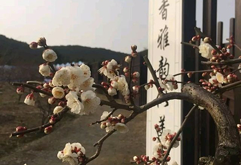 光福景区第 31 张图片