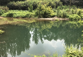 峨庄瀑布群风景区第 10 张图片