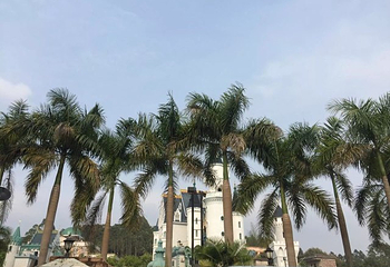 色色中国环球影城旅游基地第 30 张图片