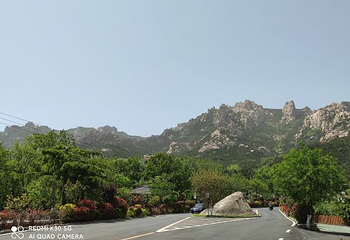 青岛出海垂钓观光休闲游第 10 张图片