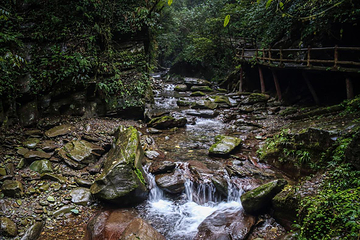 亚木沟风景区第 60 张图片