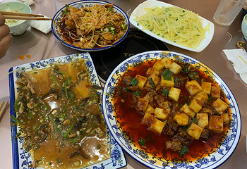 卧龙中华大熊猫苑神树坪基地第 60 张图片