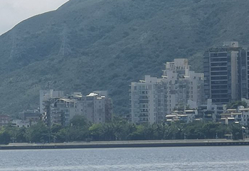 大梅沙海滨公园第 109 张图片