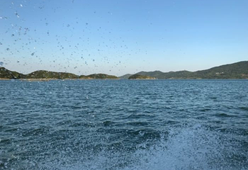 洈水景区第 58 张图片