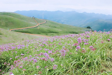 贵州阿西里西第 11 张图片