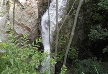 大别山瀑布群第 29 张图片