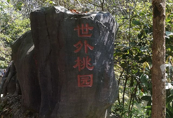 凤凰谷风景区第 20 张图片