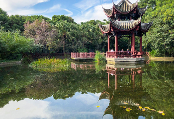 百花潭公园第 35 张图片